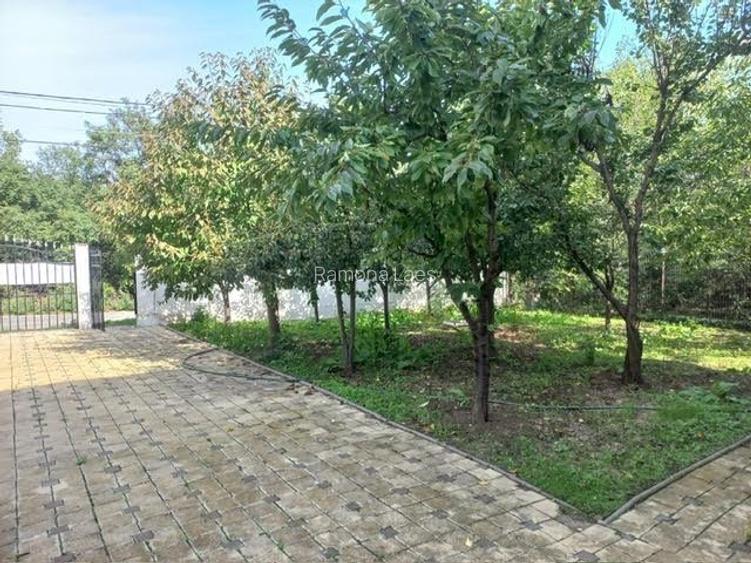 Casa solida, moderna si luminoasa; liniste totala in natura! - 4