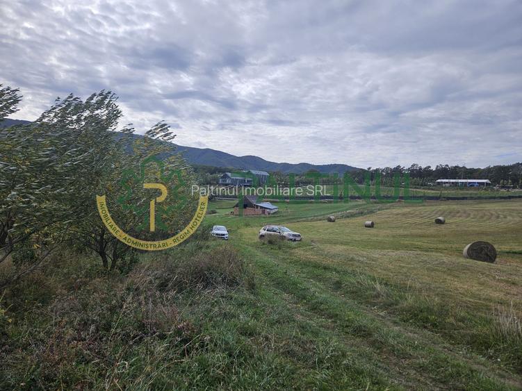 Teren de vanzare ,Tocile, Sibiu, case de vacanta si locuinte - 5