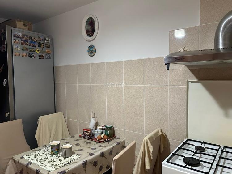 Apartament 2 camere mobilat si utilat Doctor Babes Restaurant Linz - 10