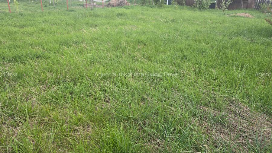 Vand teren intravilan in Zavoi partea de jos situat pe str. Sadoveanu, - 5