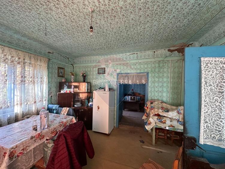 GOSPODARIE - liniste - natura - DE VANZARE - 4