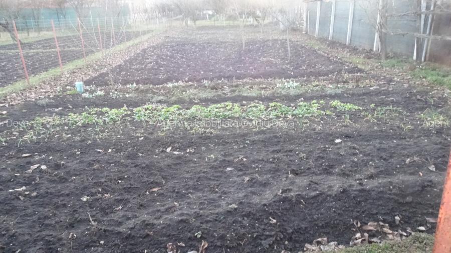 Vand casa in Deva, zona Ceangai, P+M, suprafata totala de teren 726 mp, - 4