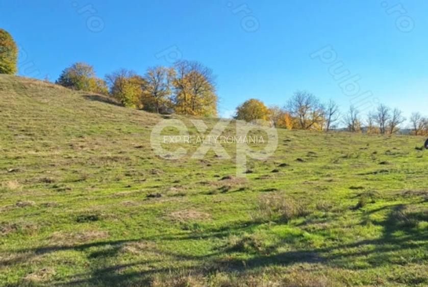 Vand Teren in Curtea de Arges suprafata 5000mp - 4
