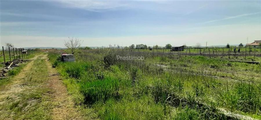 Teren de vanzare 41 arii, Nazna ,intravilan cu toate utilitatile - 2