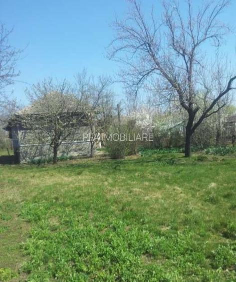 Casa și  teren de vânzare Luica jud Călărași - 4