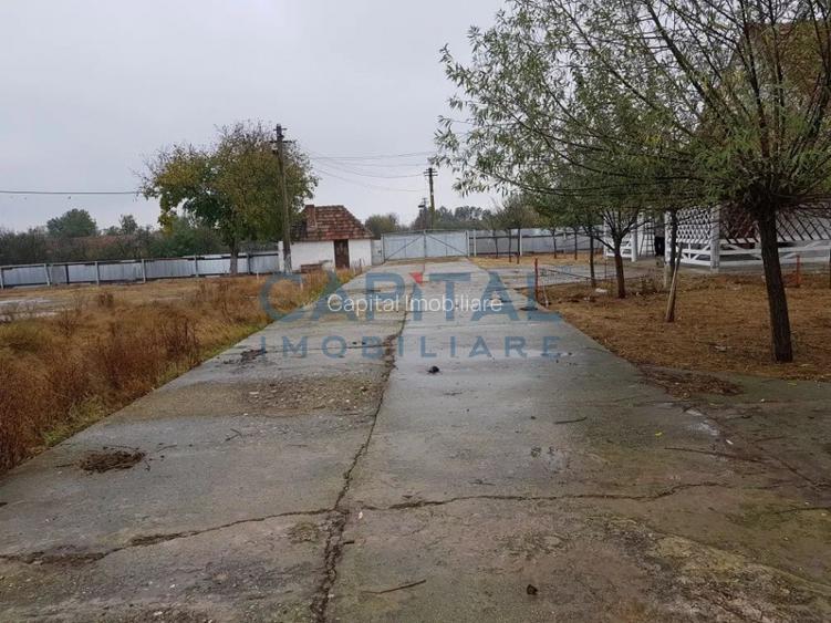 Ferma langa Oravita 5600 mp construiti si teren 24281 intravilan - 11