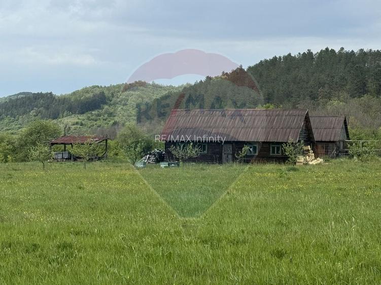 Proprietate OFF-GRID 5,76 Ha. Casa tradiționala lemn. Limită Cluj - 11