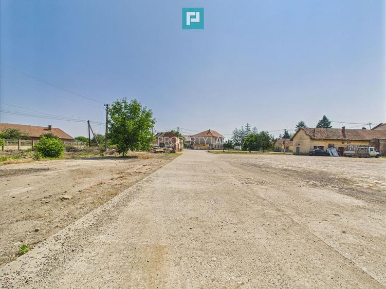 Complex industrial cu hale și teren  în Orțișoara - 38