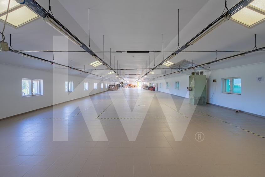 Hală industrială depozitare productie 826mp Sebeș - 4