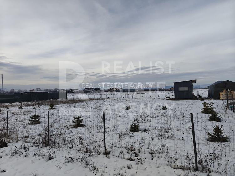 Teren Cartier Izvor - Sacele - 3