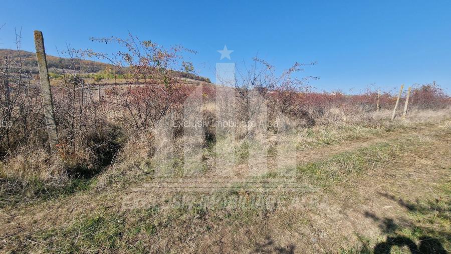 Teren intravilan | De vanzare | 3900 mp | 17 ml deschidere | Cetate - 3