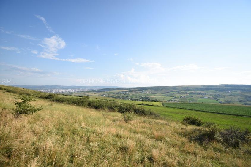 Oportunitate de investitie! Teren extravilan Chinteni! - 7