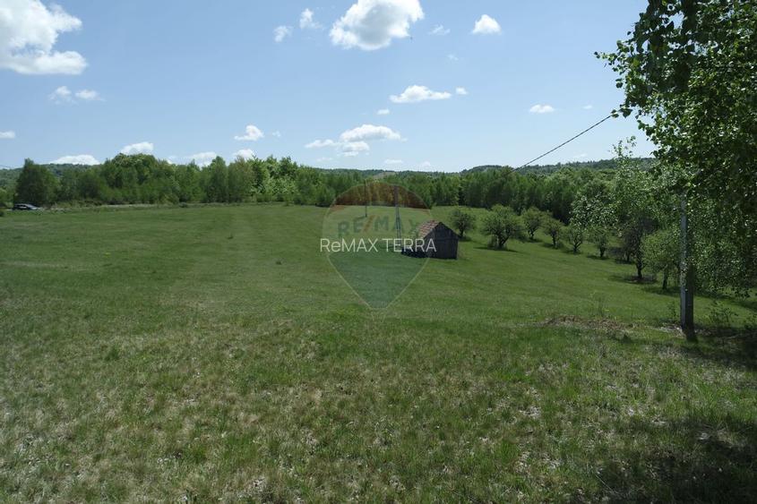 TEREN DE VÂNZARE ÎN PRELUCA NOUA - 6