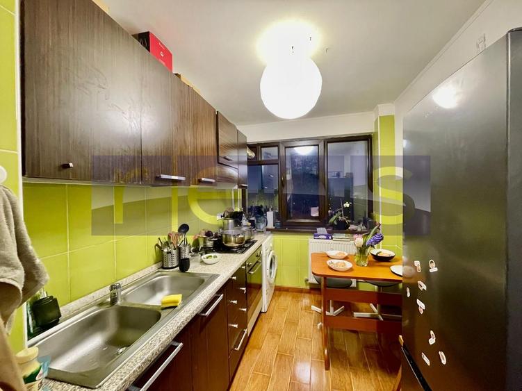 VANZARE APARTAMENT 2 CAMERE BABA NOVAC PARK LAKE DRISTOR 53MP - 8