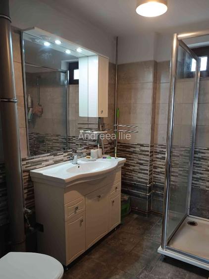 Teren parcelabil, intravilan, 6400mp cu casa renovata - ideal investitor  - 10
