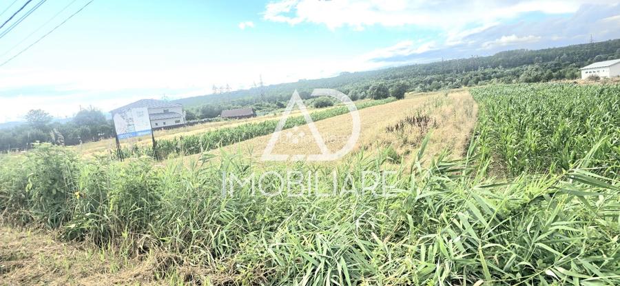 Teren de vis în Sat Moi, Comuna Bâlteni – cu deschidere la drumul european E79 - 4