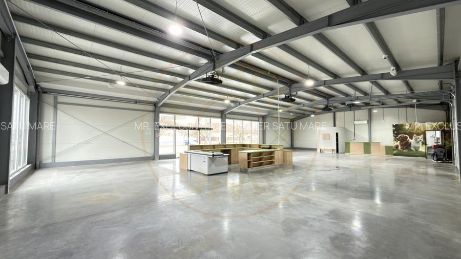 Spațiu Comercial Open Space 296 mp / B-dul 25 Octombrie / Carei - 3