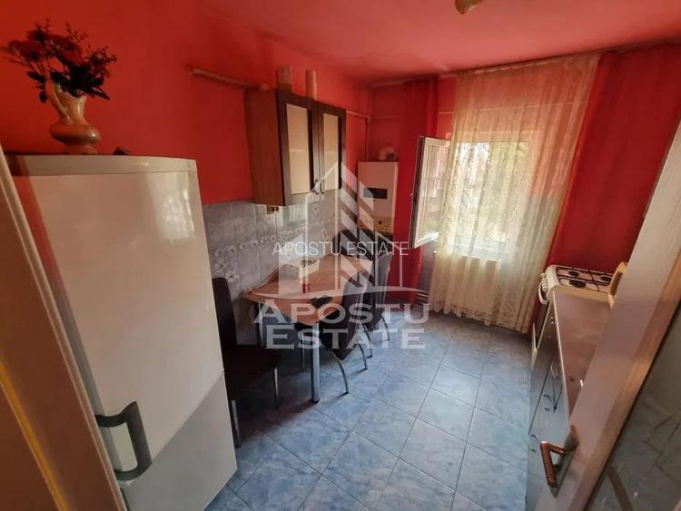 Apartament cu 2 camere de inchiriat, Timisoara, zona Lipovei, Centrala - 6