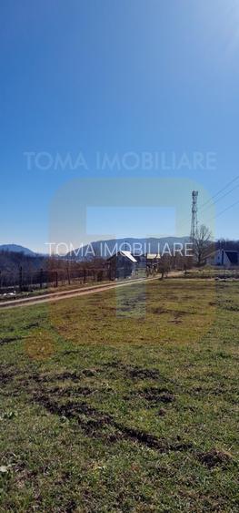 Teren intravilan de 4.000 mp în Bistrița – Alexandru cel Bun - 27