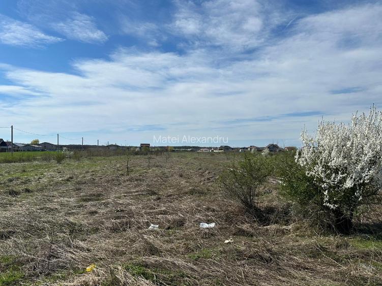 Teren intravilan de vanzare - 4