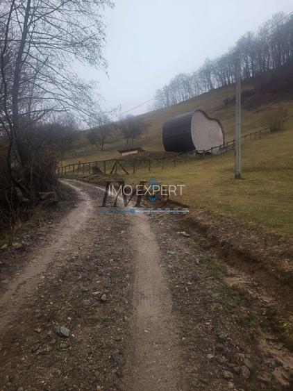 TEREN PENTRU CABANA PE VALEA TONII - 3