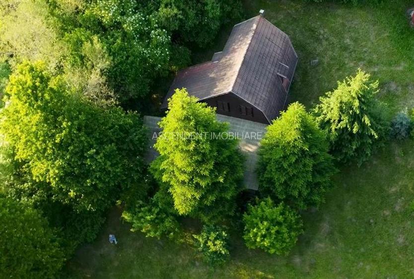 FILM!2.000 mp teren in miracolul naturii autentice+casa/cabana,Bucin(Praid),Harg - 7