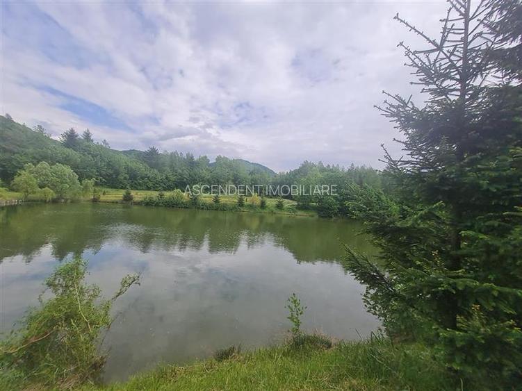 Refugiu idilic cu oglinda de apa, panorama montana, Glajerie/Rasnov, ideal mini - 32