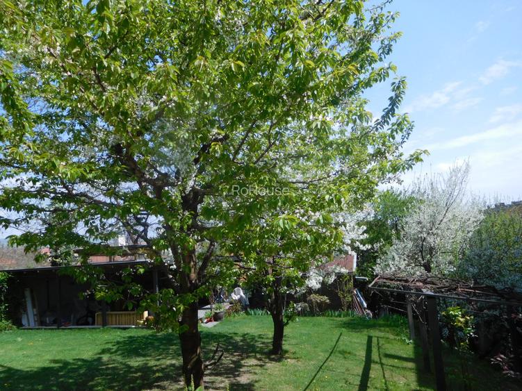 Imobil reprezentativ cu functiuni versatile - 2