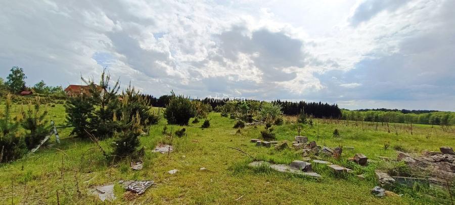 Teren in localitatea Reci,langa lacuri - 10