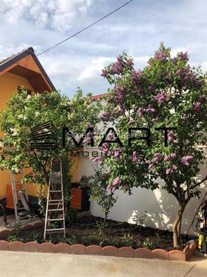 Casa cu 6 camere zona Terezian - 18