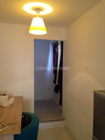 Modern 1 - Bedroom Apartament with Rooftop Access | Central Location - 14