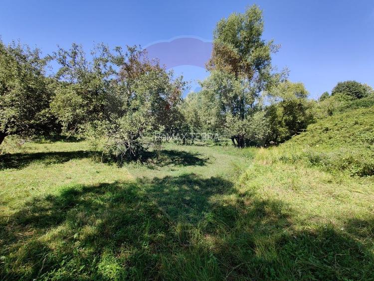 Teren intravilan in Remetea Chioarului - 4