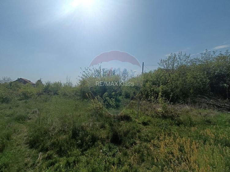 Vanzare Teren Constructii Langa Lac și Padure | Branesti | Ocazie! - 7