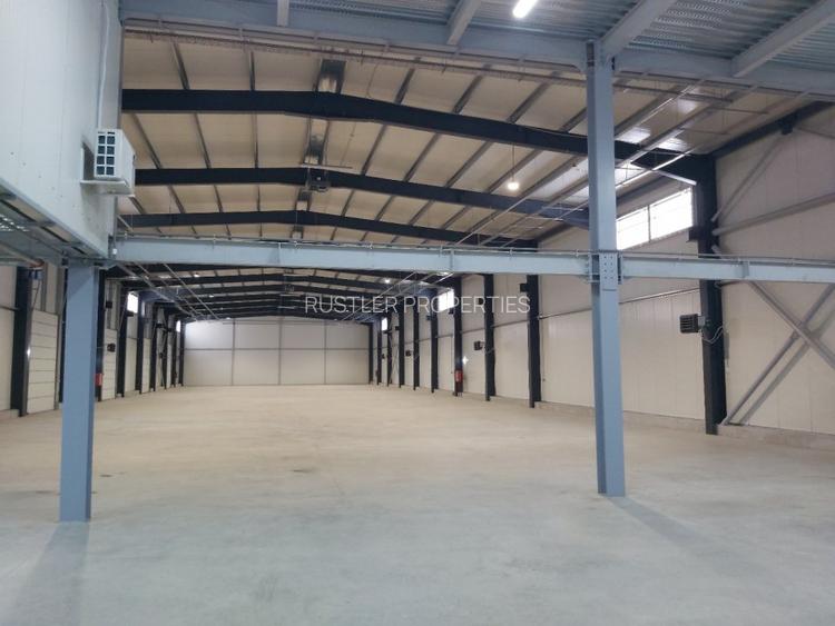 Spatiul industrial modern Stefanesti - 2