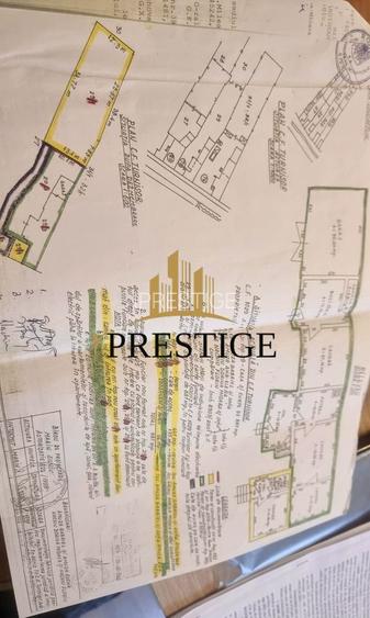 CASĂ ÎN TURNIȘOR | 2 APARTAMENTE | IDEALĂ PENTRU 2 FAMILII - 18