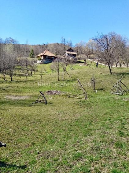 Teren retras panoramic cu panta lina, utilitati si copaci mari - 5