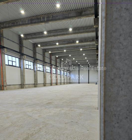 Spatiu Industrial-Mihai Viteazu/Zona Autostrazii A3-Constructie Noua - 13