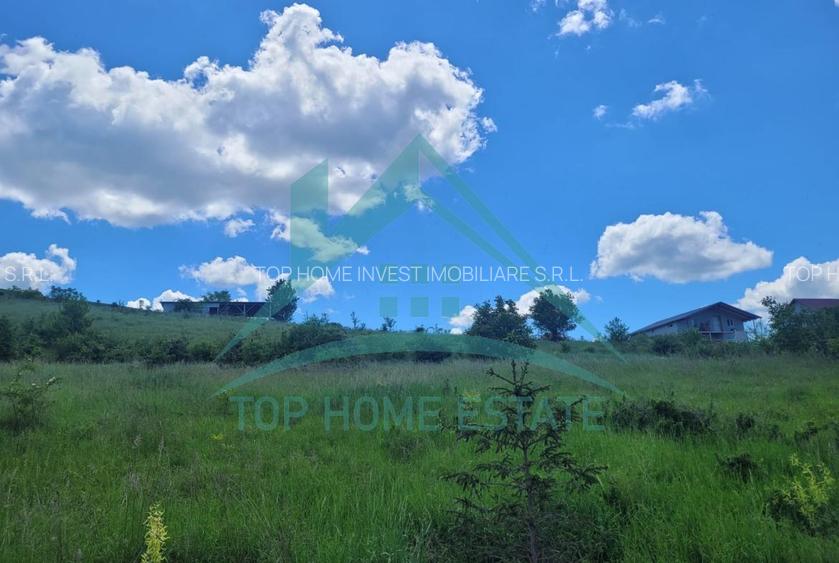 De vanzare 4 parcele de teren intravilan in Sannicoara, comuna Apahida! - 4