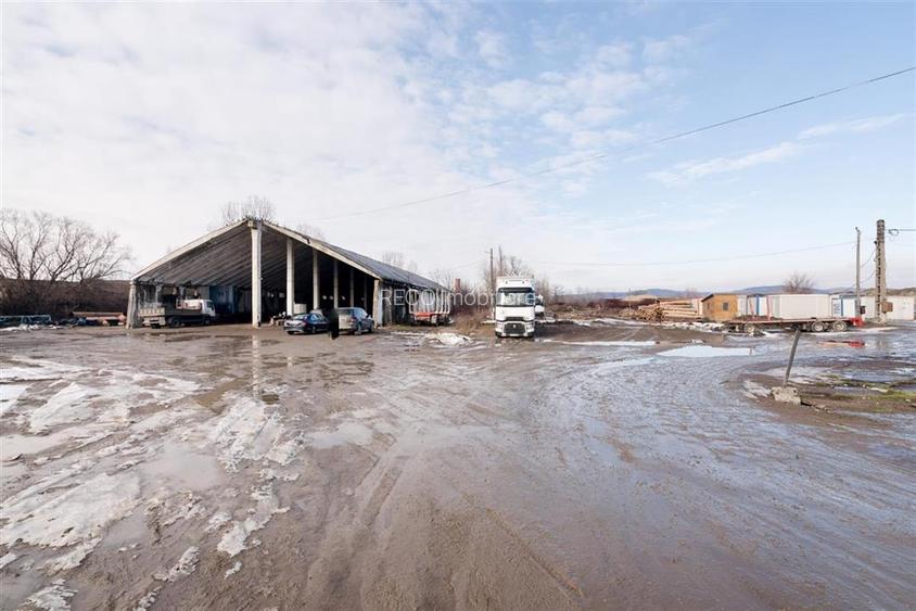 RECO . Proprietate industriala Tileagd . - 7