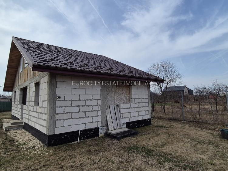 Caciulati, vanzare casa 3 camere la rosu, 1.000mp teren - 3