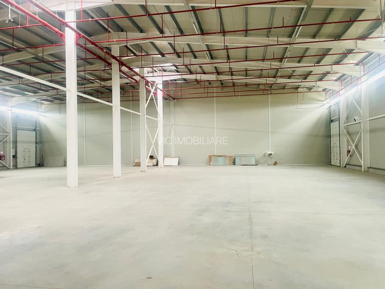 Hala - Drumul Intre Tarlale - Noua - Aviz ISU - 4