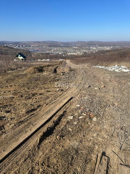 Teren interval Vladiceni  - 8