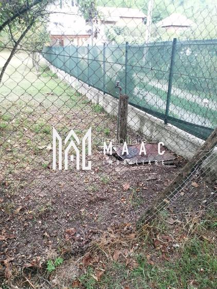 Teren Intravilan 10.000 mp | Livadă + Pădure de salcâm | Bărbătești - 7