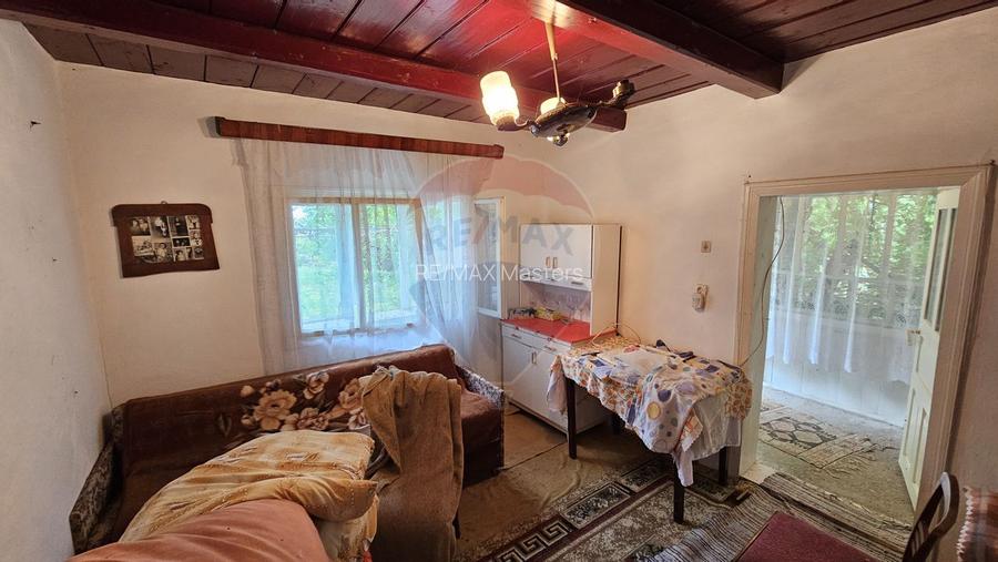 Casa  de vânzare cu teren 9200 mp, Pădureni-Șendriceni, Botoșani - 8