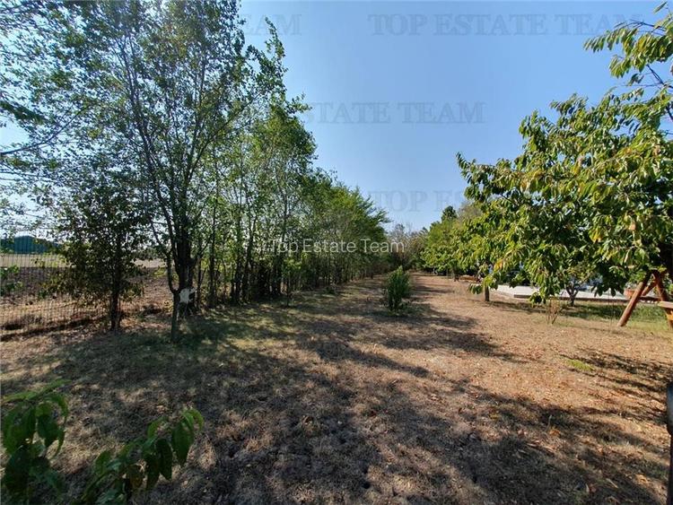 Teren intravilan agricol si teren curti constructii Lot 2 Parcela A326/49 - 11