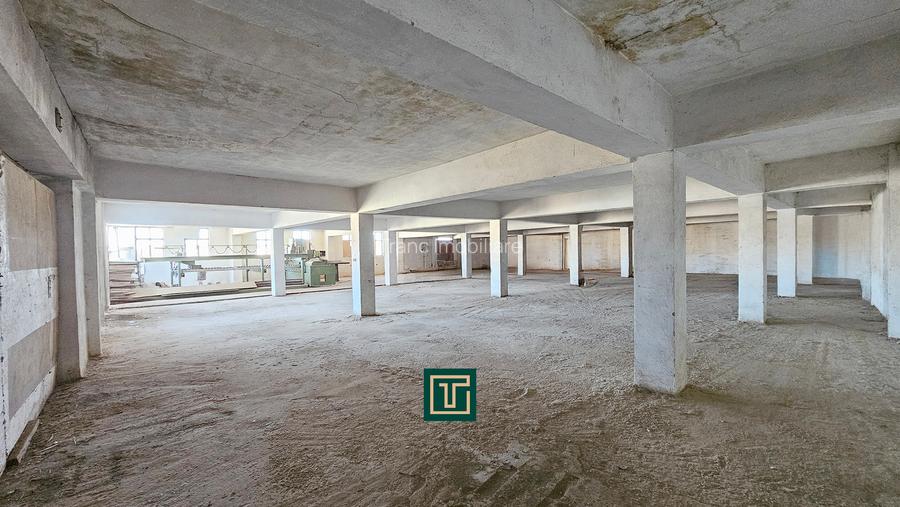 Proprietate multifunctionala - teren generos, cladire si hala in Lugoj - 19