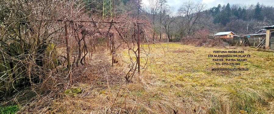 Casa+ Anexa + Teren 3506 mp, com.Alexandru cel Bun - 10