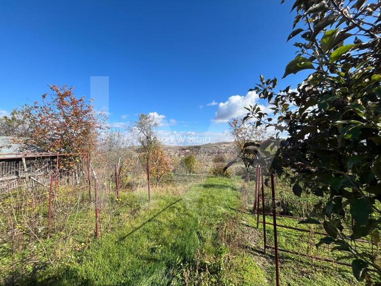 Casa cu poveste si potential – locul perfect pentru un nou inceput in Seica Mare - 16