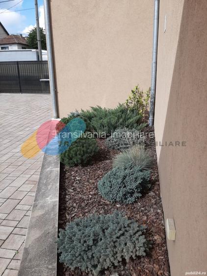 Casa individuala 230 mp, teren 500 mp, zona Dambul Rotund - 6