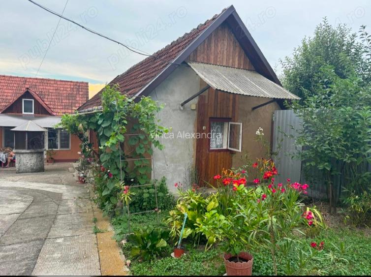 Casă de vânzare , Țela, Arad ,3 anexe  - 3